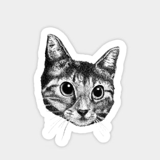 Cat Sticker